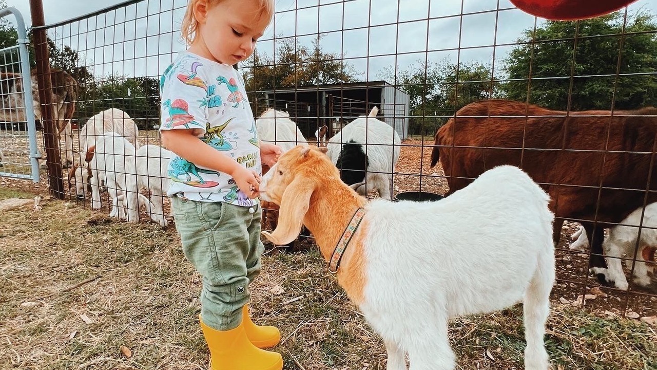 Photo of Others in Glen Rose