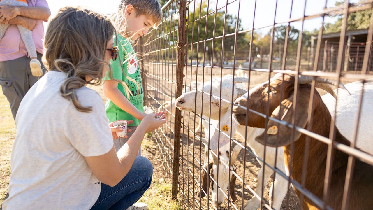 Photo of Others in Glen Rose
