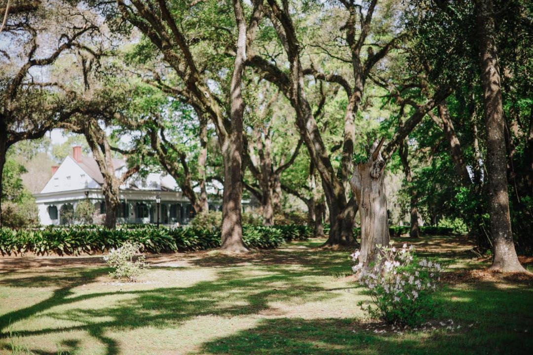 Photo of Others in St. Francisville