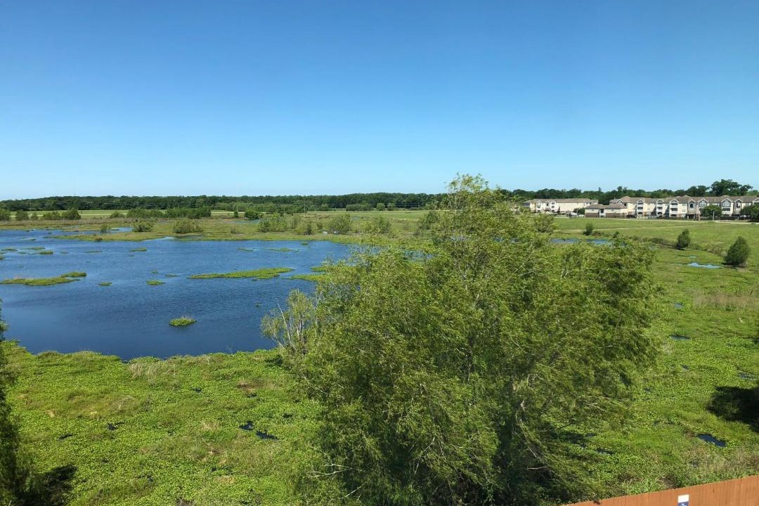 Photo of Others in Bayou Cane
