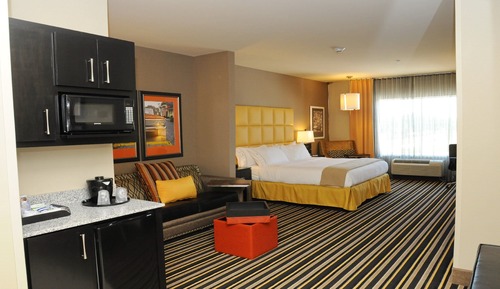 Suite, 1 King Bed with Sofa bed