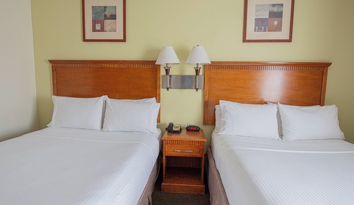 Studio Suite, 2 Queen Beds, Kitchen