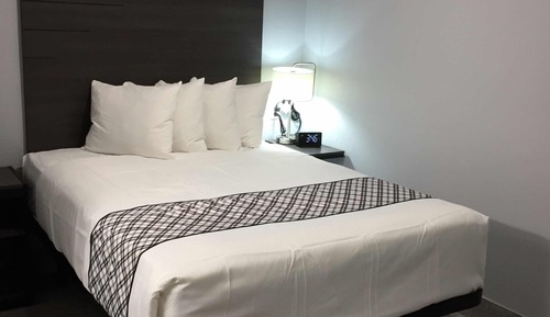 Standard Single Room, 1 Queen Bed, Non Smoking