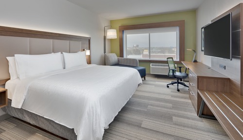 Suite, 1 King Bed with Sofa bed, Roll-in Shower (Mobil Roll Shwr)
