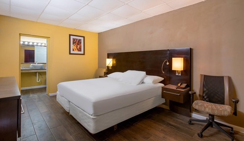 Standard Room, 1 King Bed, Non Smoking