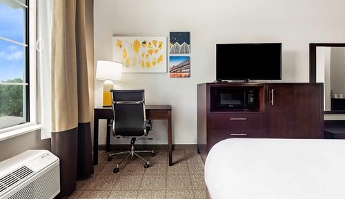 Room, 1 King Bed, Accessible, Non Smoking