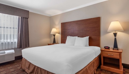 Suite, 1 King Bed, Non Smoking, Refrigerator & Microwave (with Single Sofabed)