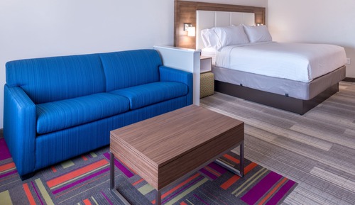 Suite, 1 King Bed with Sofa bed