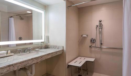 One-Bedroom Executive Suite 