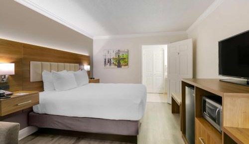 Queen Room with Roll-In Shower - Mobility Accessible/Non-Smoking