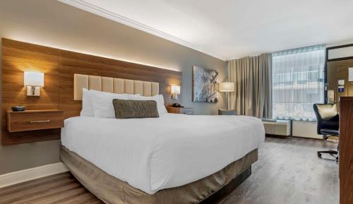 King Room - Non-Smoking