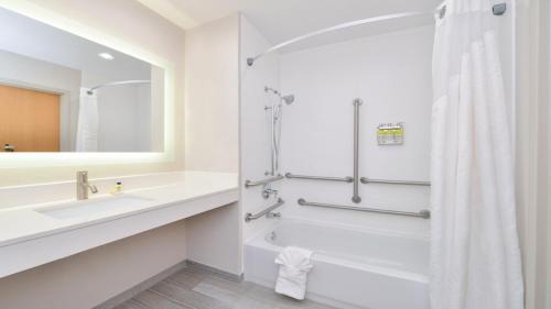King Suite with Shower - Accessible