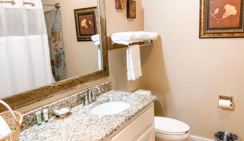Deluxe King Suite