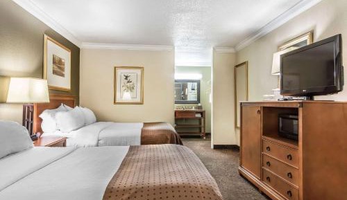 Double Room with Two Double Beds - Accessible/Non-Smoking