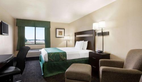 King Room - Mobility Access/Non-Smoking