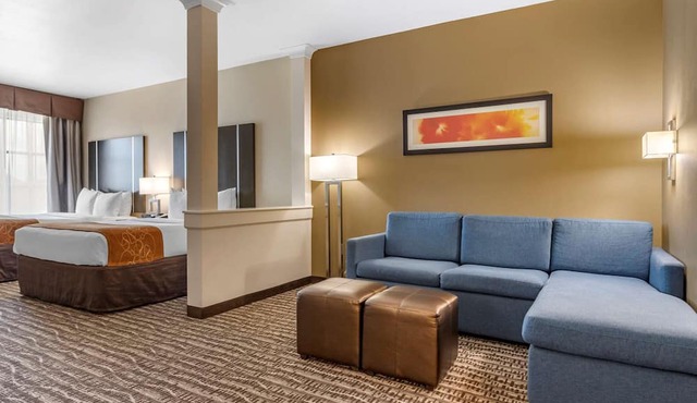 Comfort Suites Near Sam Houston Race Park
