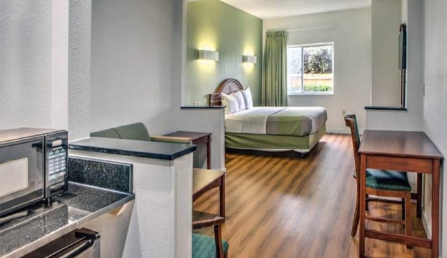 1 King Bed|Suite,Nsmk|Sofa-Bed