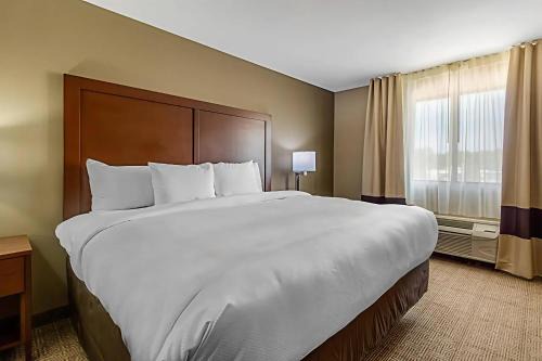 Comfort Inn & Suites McComb