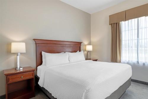 Best Western Plus Executive Hotel & Suites